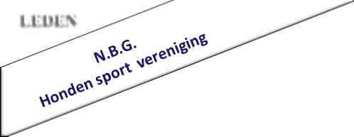                        N.B.G.Honden sport  vereniging                   