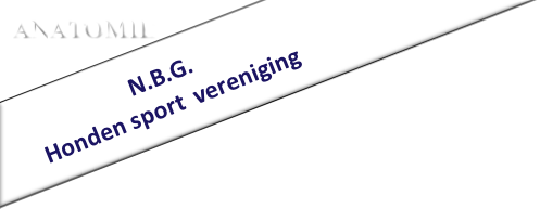                        N.B.G.
Honden sport  vereniging                   