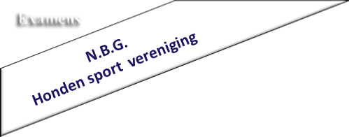                        N.B.G.
Honden sport  vereniging                   