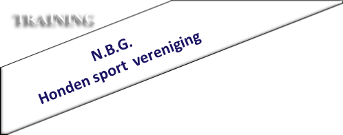                        N.B.G.
Honden sport  vereniging                   